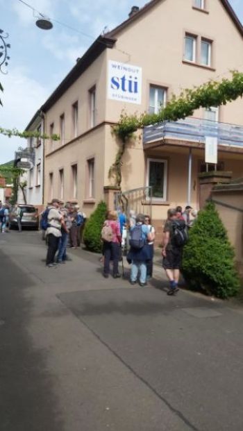 26-05-2024 Wanderung Leinsweiler (8).jpg